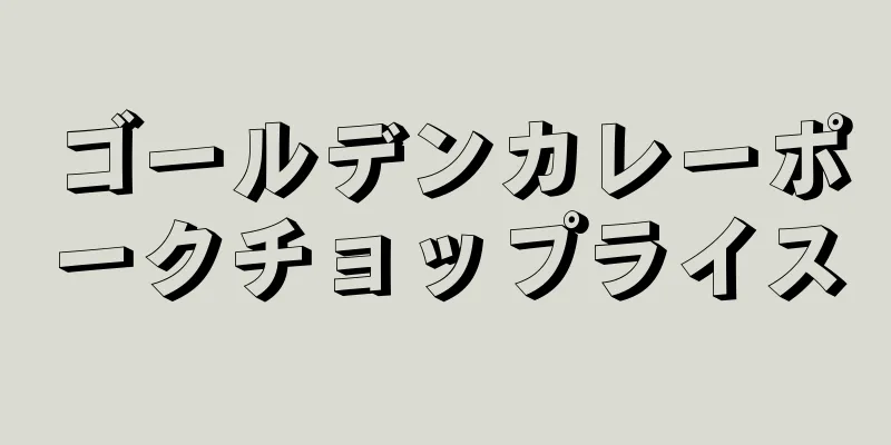 ゴールデンカレーポークチョップライス