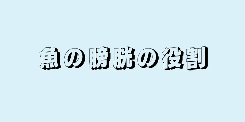 魚の膀胱の役割