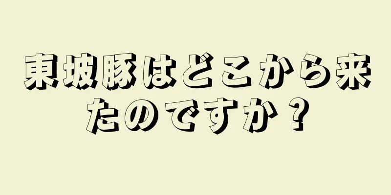 東坡豚はどこから来たのですか？