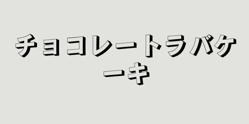 チョコレートラバケーキ