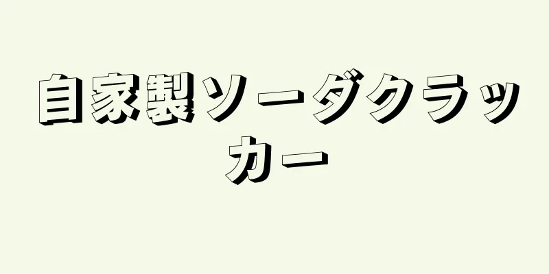 自家製ソーダクラッカー