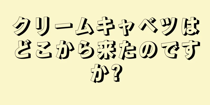 クリームキャベツはどこから来たのですか?