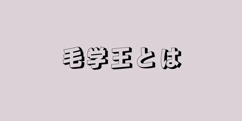 毛学王とは