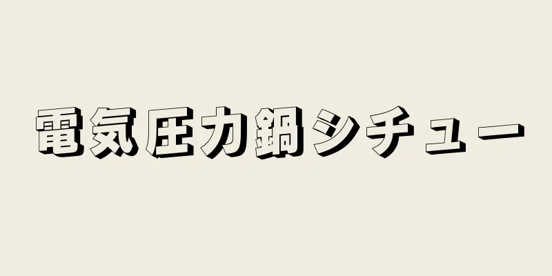 電気圧力鍋シチュー