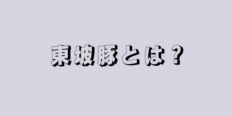 東坡豚とは？