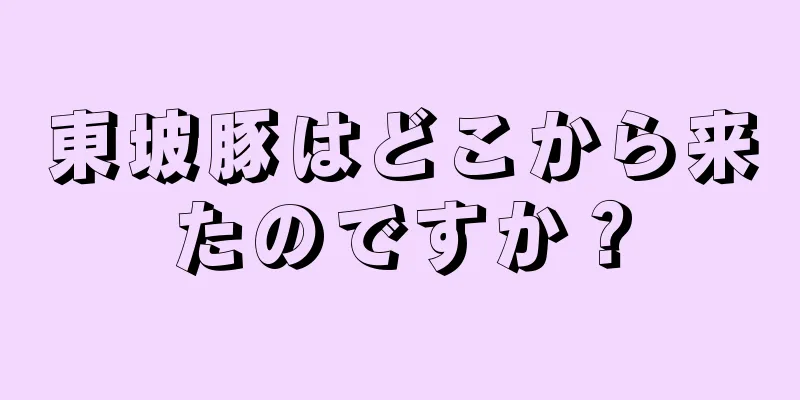 東坡豚はどこから来たのですか？