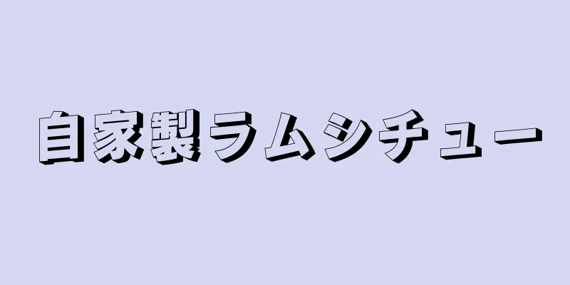 自家製ラムシチュー