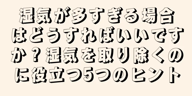 湿気が多すぎる場合はどうすればいいですか？湿気を取り除くのに役立つ5つのヒント