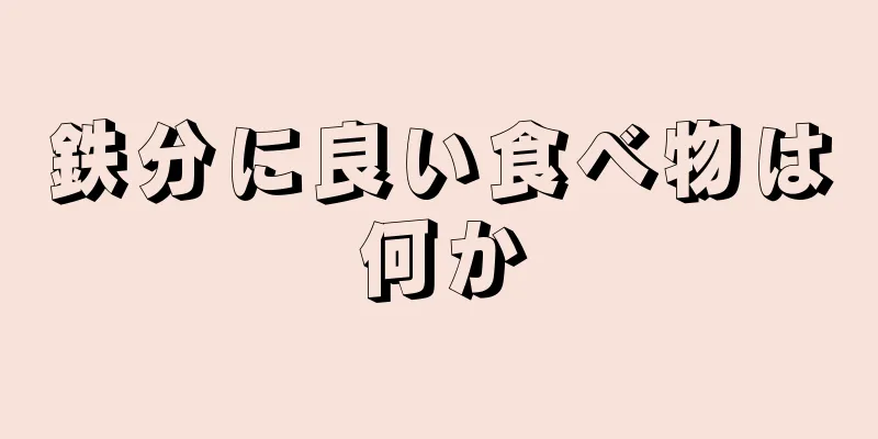 鉄分に良い食べ物は何か