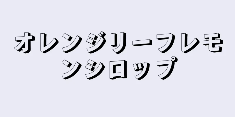 オレンジリーフレモンシロップ