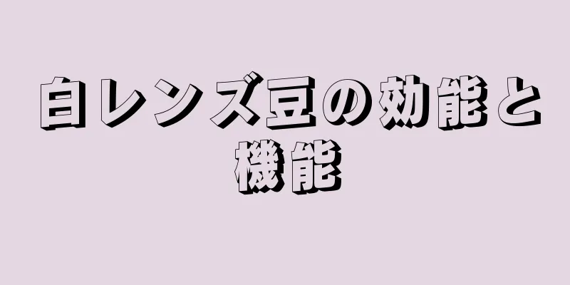 白レンズ豆の効能と機能