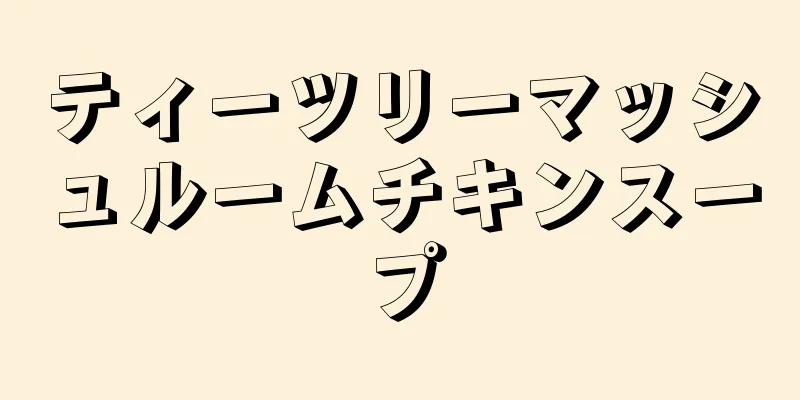 ティーツリーマッシュルームチキンスープ