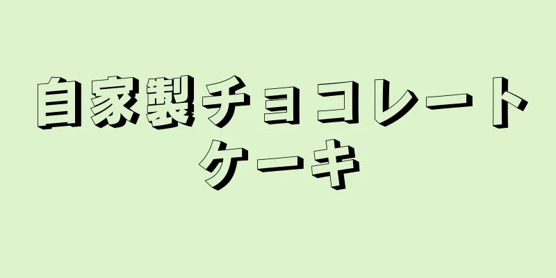 自家製チョコレートケーキ