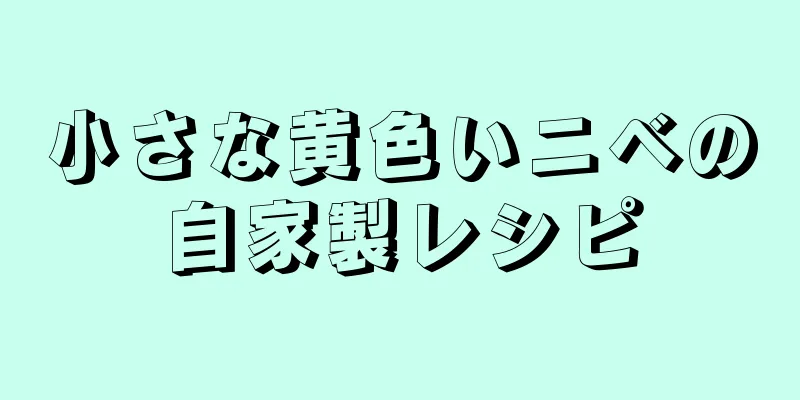 小さな黄色いニベの自家製レシピ