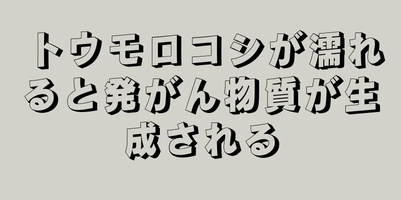 トウモロコシが濡れると発がん物質が生成される