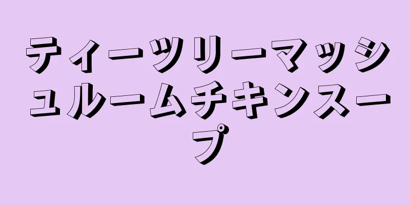 ティーツリーマッシュルームチキンスープ