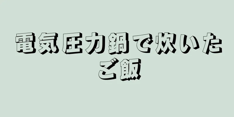 電気圧力鍋で炊いたご飯