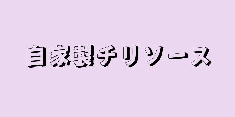 自家製チリソース