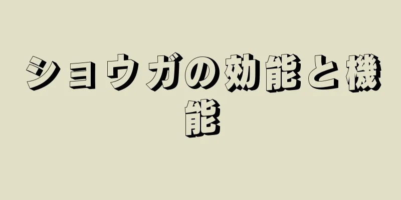 ショウガの効能と機能