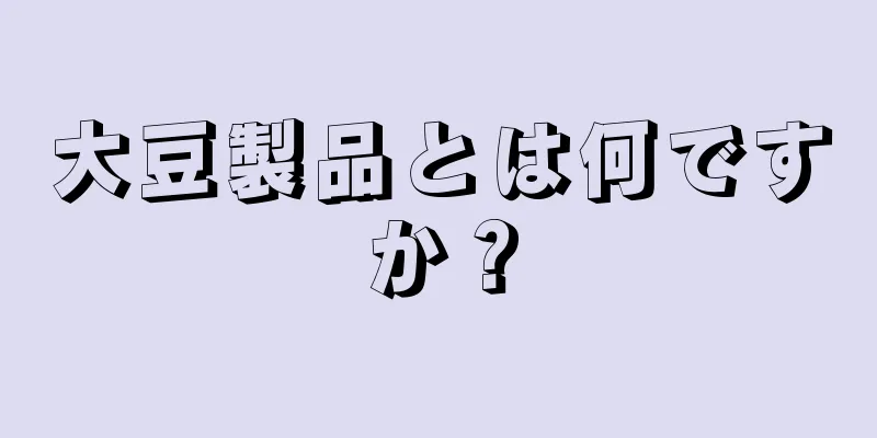 大豆製品とは何ですか？