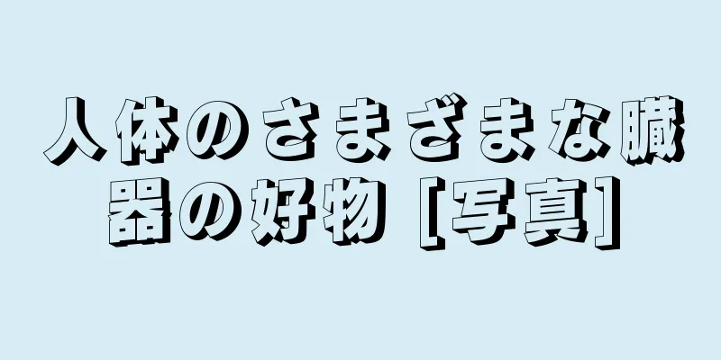 人体のさまざまな臓器の好物 [写真]