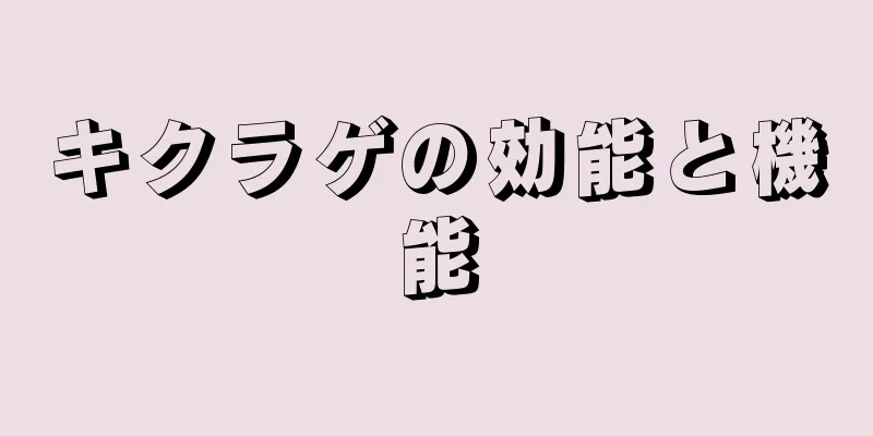 キクラゲの効能と機能