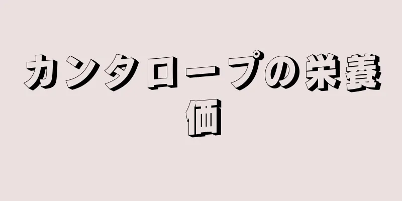 カンタロープの栄養価