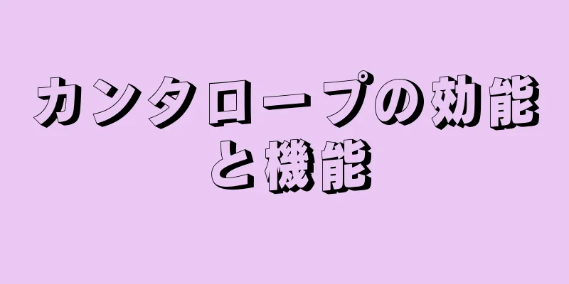 カンタロープの効能と機能