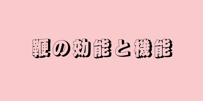 鞭の効能と機能