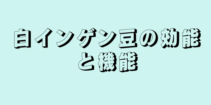 白インゲン豆の効能と機能