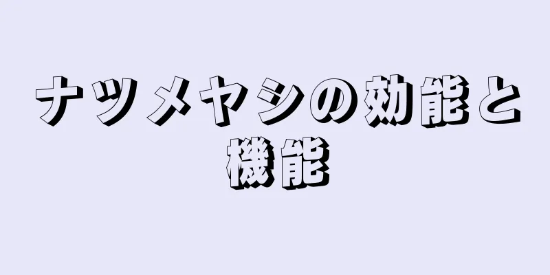 ナツメヤシの効能と機能