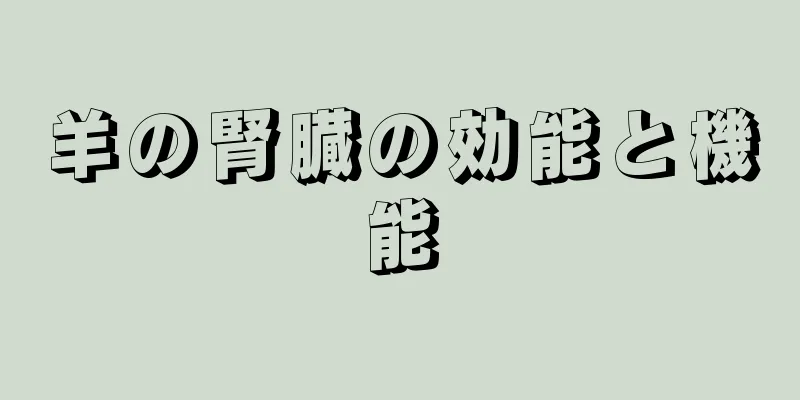 羊の腎臓の効能と機能