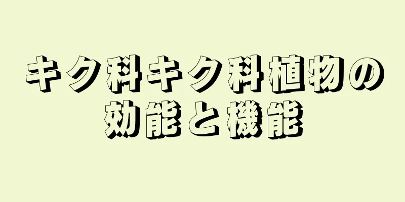 キク科キク科植物の効能と機能