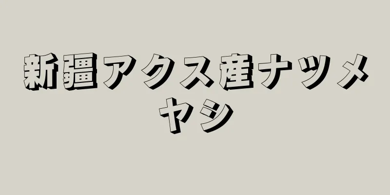 新疆アクス産ナツメヤシ