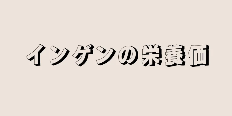 インゲンの栄養価