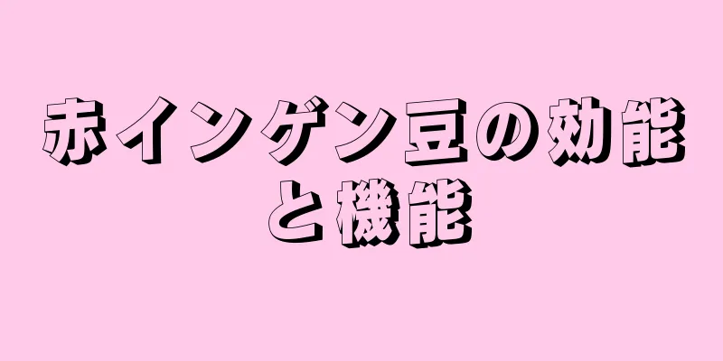 赤インゲン豆の効能と機能