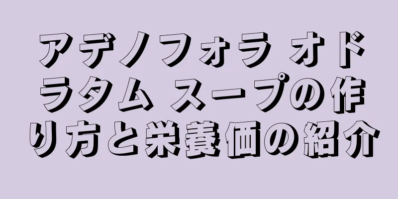 アデノフォラ オドラタム スープの作り方と栄養価の紹介