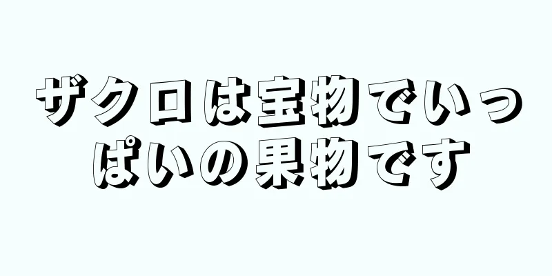 ザクロは宝物でいっぱいの果物です