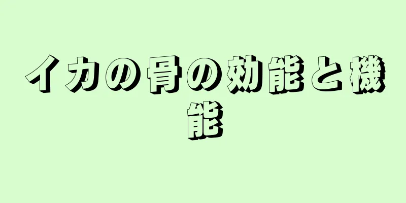 イカの骨の効能と機能