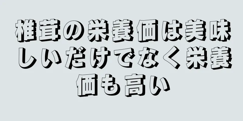 椎茸の栄養価は美味しいだけでなく栄養価も高い