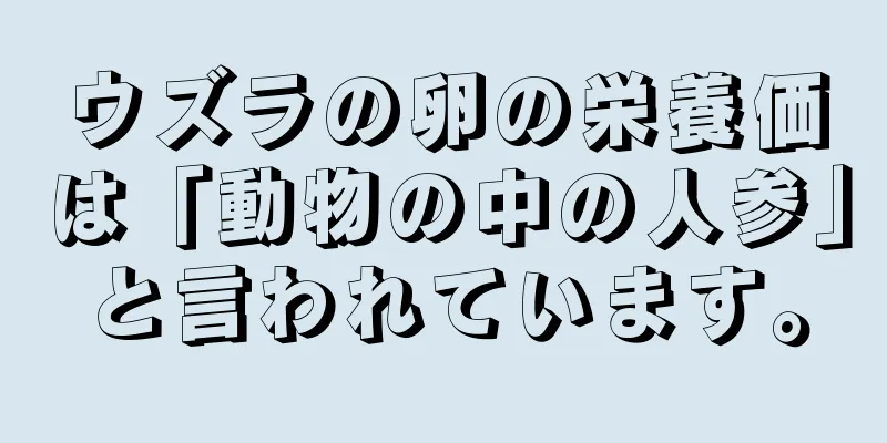 ウズラの卵の栄養価は「動物の中の人参」と言われています。