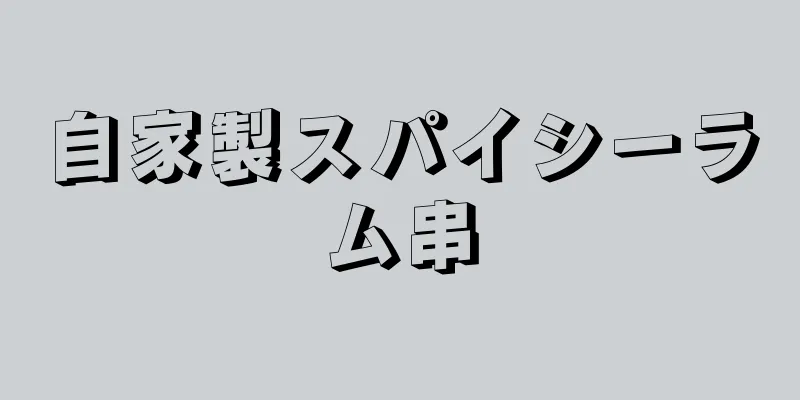 自家製スパイシーラム串