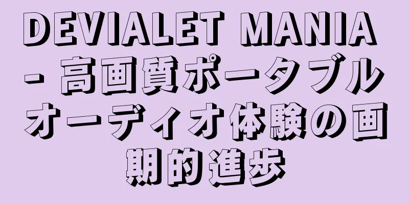 DEVIALET MANIA - 高画質ポータブルオーディオ体験の画期的進歩