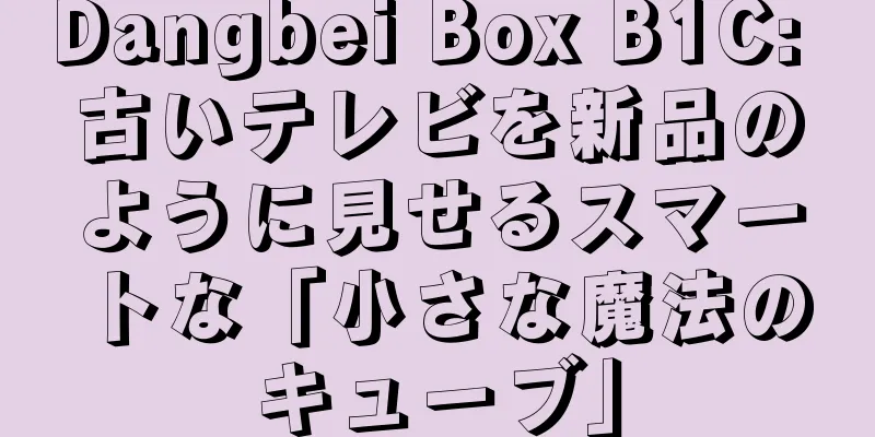 Dangbei Box B1C: 古いテレビを新品のように見せるスマートな「小さな魔法のキューブ」