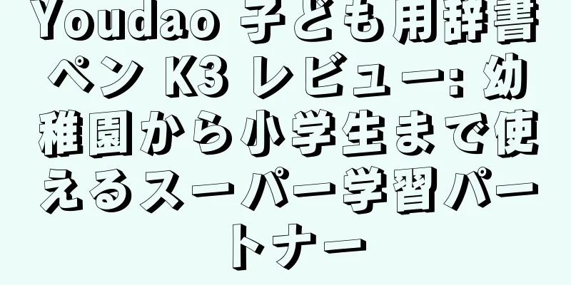 Youdao 子ども用辞書ペン K3 レビュー: 幼稚園から小学生まで使えるスーパー学習パートナー