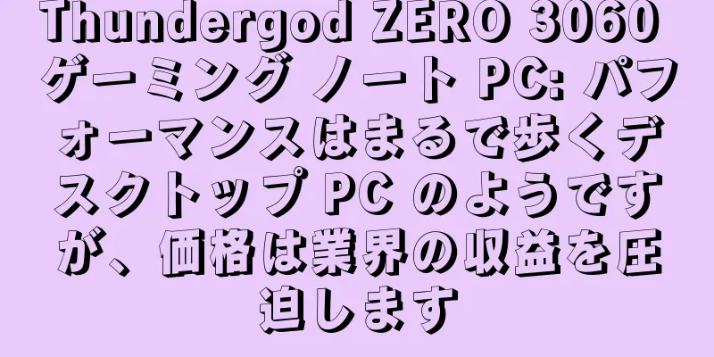 Thundergod ZERO 3060 ゲーミング ノート PC: パフォーマンスはまるで歩くデスクトップ PC のようですが、価格は業界の収益を圧迫します