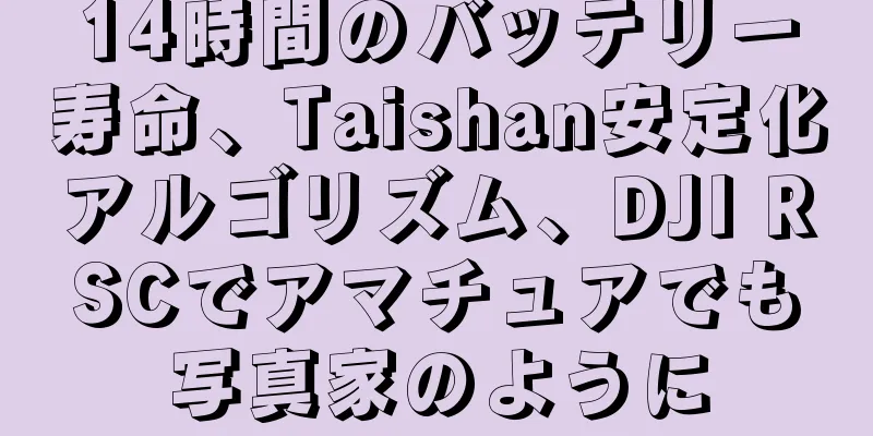 14時間のバッテリー寿命、Taishan安定化アルゴリズム、DJI RSCでアマチュアでも写真家のように