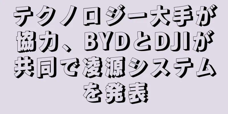 テクノロジー大手が協力、BYDとDJIが共同で凌源システムを発表