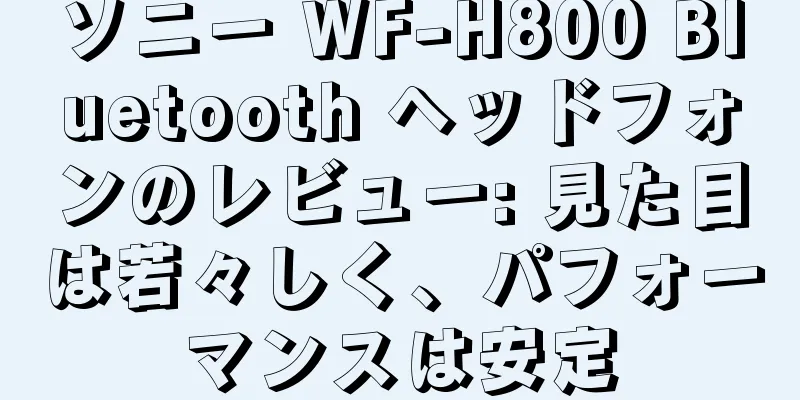 ソニー WF-H800 Bluetooth ヘッドフォンのレビュー: 見た目は若々しく、パフォーマンスは安定