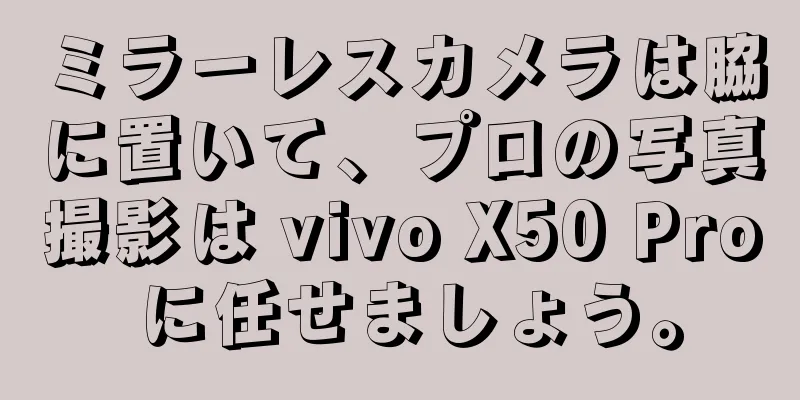 ミラーレスカメラは脇に置いて、プロの写真撮影は vivo X50 Pro に任せましょう。